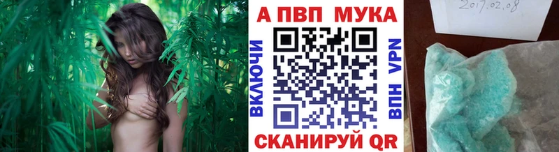 Alpha PVP мука  как найти   Болотное 