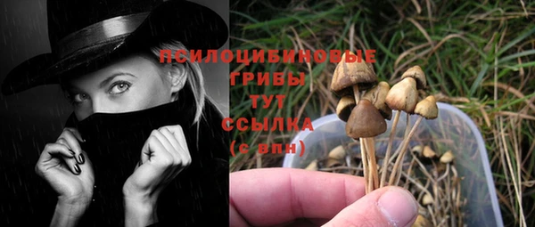 тгк Белоозёрский