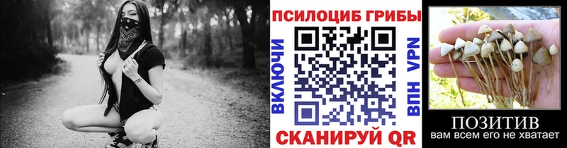 кракен   цена   Болотное  Псилоцибиновые грибы мицелий 